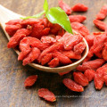 350 size Traditional goji berry Factory direct supply